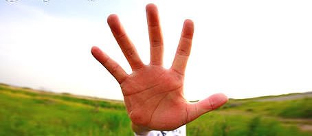 BLOG GRANDE INTERNO_O FORMATO DA MAO BLOG GRANDE INTERNO_O FORMATO DA MAO