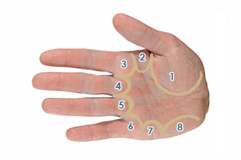 Leitura das Mãos_2 Leitura das Mãos_2