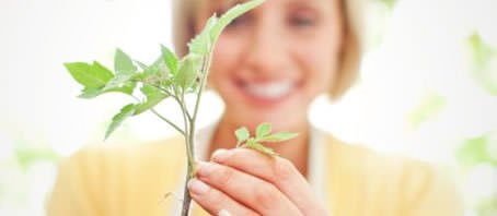 BLOG GRANDE INTERNO_PLANTA NOSSA DE CADA DIA