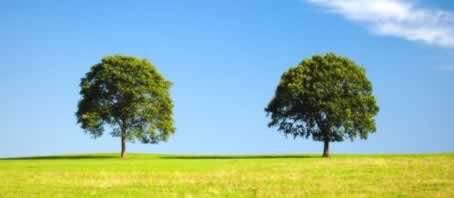 BLOG GRANDE INTERNO_DONA MORTE