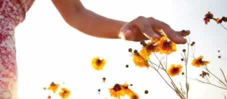 BLOG GRANDE INTERNO_ENERGIA QUE VEM DA NATUREZA BLOG GRANDE INTERNO_ENERGIA QUE VEM DA NATUREZA