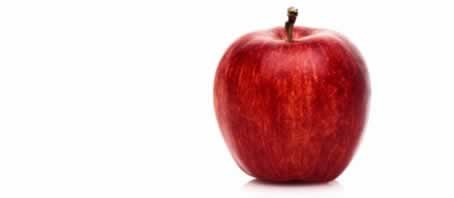 BLOG GRANDE INTERNO_O CAQUI E A MACA BLOG GRANDE INTERNO_O CAQUI E A MACA