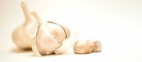 BLOG GRANDE INTERNO_FECHAMENTO DO CORPO COM ALHO