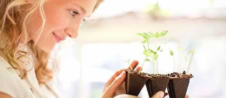 BLOG GRANDE INTERNO_NOSSAS PLANTINHAS