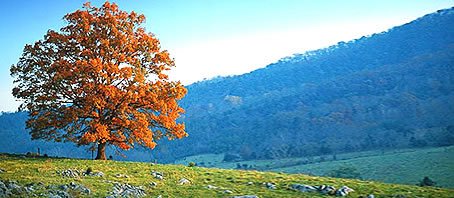 BLOG GRANDE INTERNO_NOCAO DE TEMPO