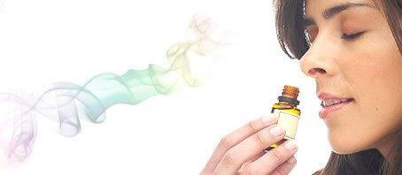 BLOG GRANDE INTERNO_O AROMA CERTO BLOG GRANDE INTERNO_O AROMA CERTO