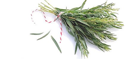 BLOG GRANDE INTERNO_O BOM USO DAS ERVAS