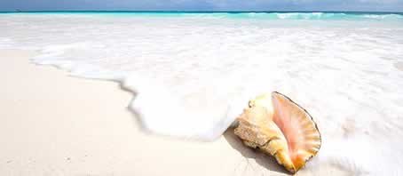 BLOG GRANDE INTERNO_BREVE APRESENTACAO DOS ORIXAS BLOG GRANDE INTERNO_BREVE APRESENTACAO DOS ORIXAS