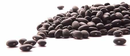 BLOG GRANDE INTERNO_COMA FEIJAO