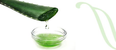 BLOG GRANDE INTERNO_BANHOS PERSONALIZADOS BLOG GRANDE INTERNO_BANHOS PERSONALIZADOS