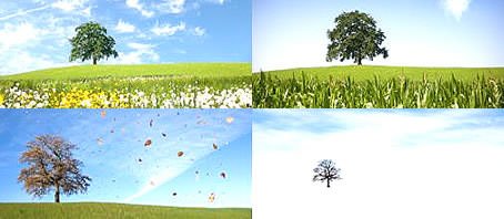 BLOG GRANDE INTERNO_O BOM DE CADA MES