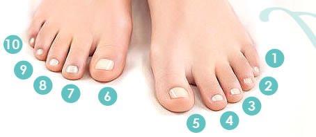 BLOG-GRANDE-INTERNO_A-LEITURA-DOS-PES BLOG-GRANDE-INTERNO_A-LEITURA-DOS-PES