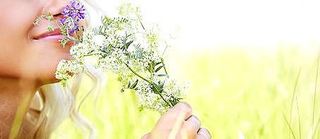 BLOG-GRANDE-INTERNO_FLORAIS BLOG-GRANDE-INTERNO_FLORAIS