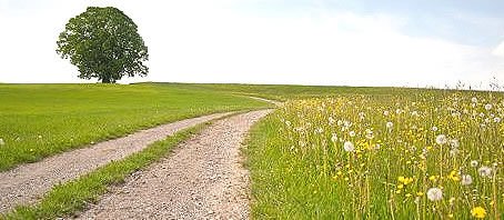 BLOG-GRANDE-INTERNO_O-CAMINHO-DA-PLENITUDE