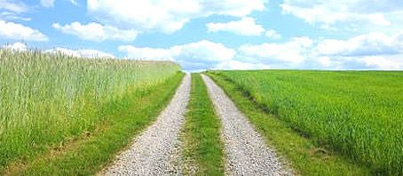 BLOG-GRANDE-INTERNO_A-JORNADA-DA-EVOLUCAO