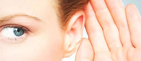 BLOG-GRANDE-INTERNO_ESCUTE