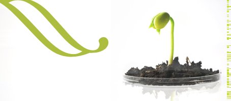 BLOG-GRANDE-INTERNO_O-MELHOR-DA-VIDA