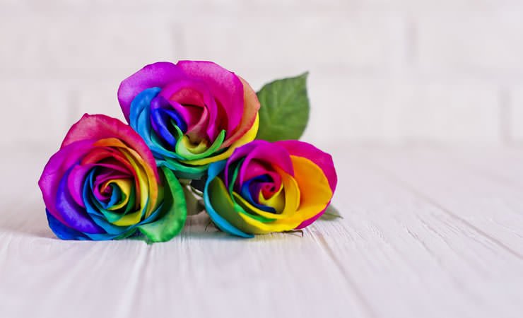 05 dicas de Cromoterapia para seu dia a dia